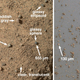 Illustration for article titled NASA has just made an incredible discovery about water on Mars